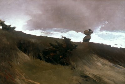 West Wind by Winslow Homer